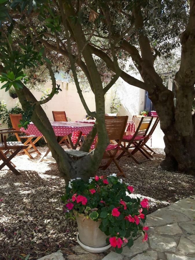 La Vigne Des Heures Claires Saint-Nazaire-d'Aude Екстер'єр фото